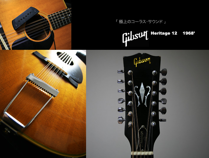 KENICHI KIKUCHI'S MAIN GUITARS